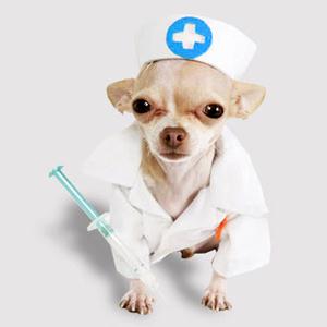 Ветпомощь на дому Евпатории